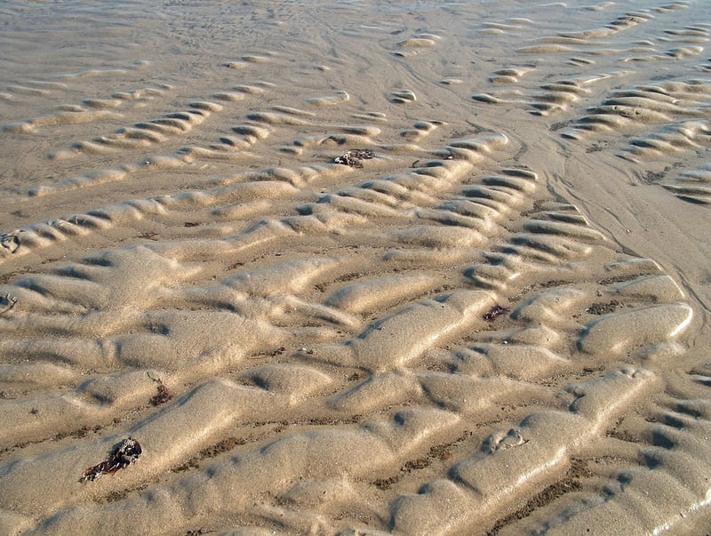 Summer garden maintenance