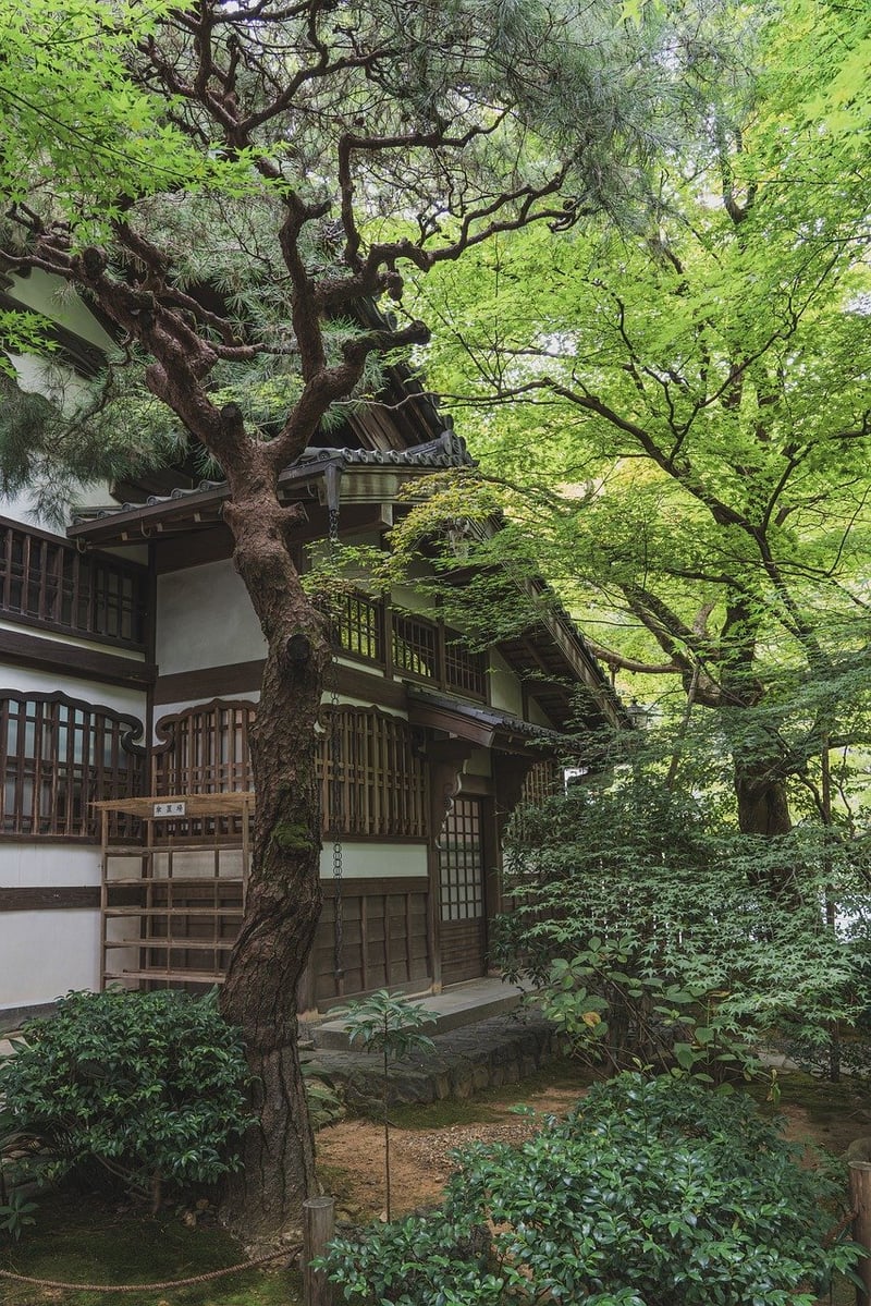 Zen-Inspired Water Garden
